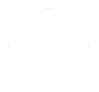 opsverse logo